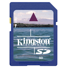 Kingston 8GB SD Card Class 10 Kingston 8GB SD Card Class 10